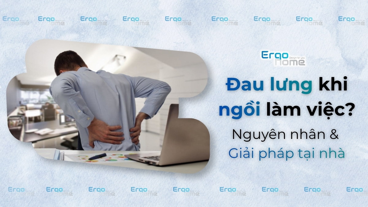 Đau Lưng Khi Ngồi Làm Việc - Nguyên Nhân Thực Sự và 6 Giải Pháp Không Cần Thuốc