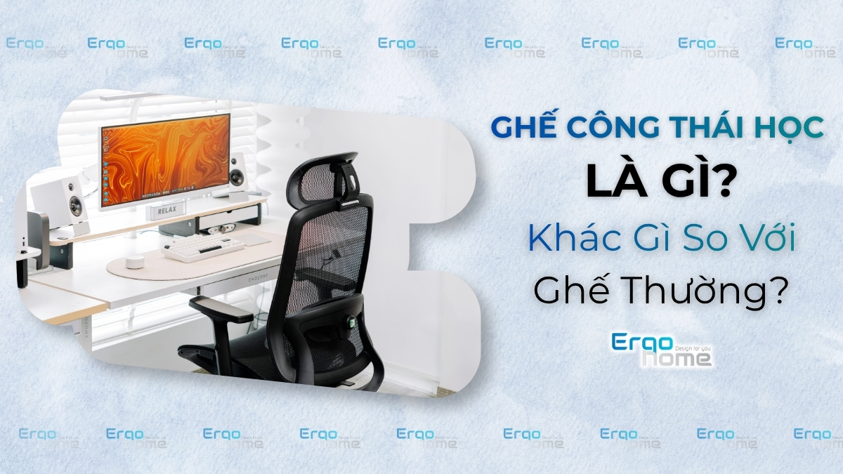 Ghế Công Thái Học Là Gì? Khác Gì Ghế Văn Phòng Thường Mà Giá Lại Cao Hơn?