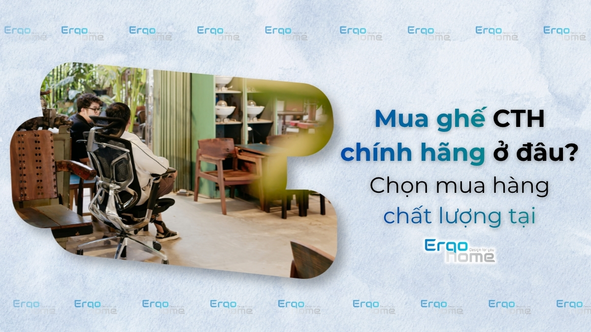 Mua Ghế Công Thái Học Chính Hãng Ở Đâu? Chọn Mua Hàng Chất Lượng Tại Ergohome