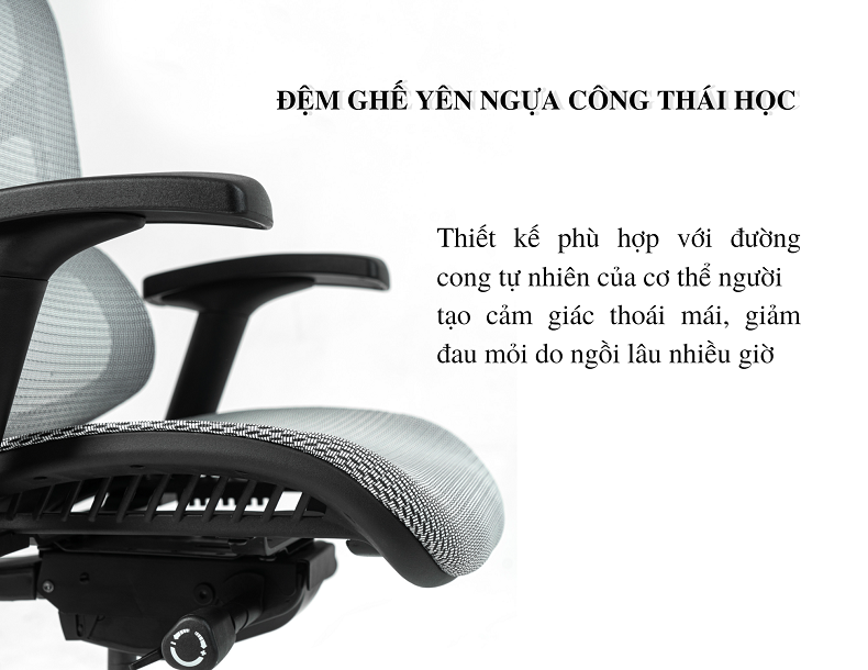 Ghế công thái học Ergonomic Vchair Commander