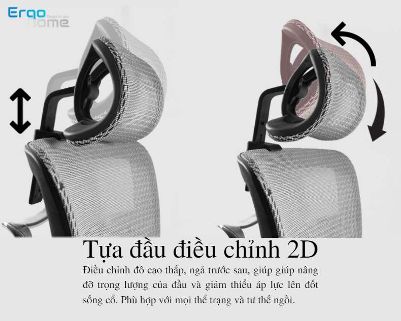 Ghế công thái học Ergonomic Nova - Đen