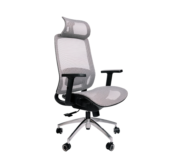 Ghế công thái học Upgen LumiX