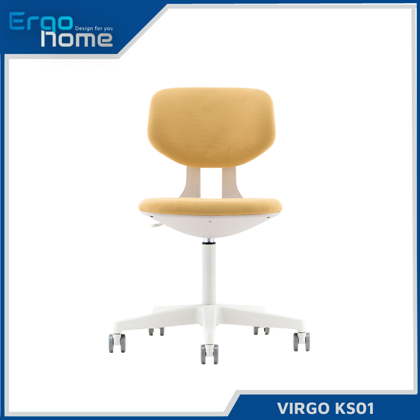 Ghế Công Thái Học VIRGO KS01 văn phòng nhiều màu sắc ( Nhận ORDER từ 10 sản phẩm)