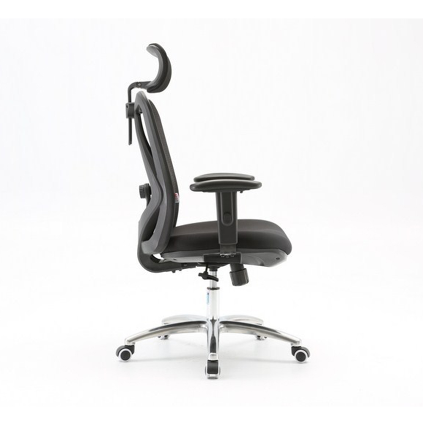 Ghế Công Thái Học Ergohome ERG-M18