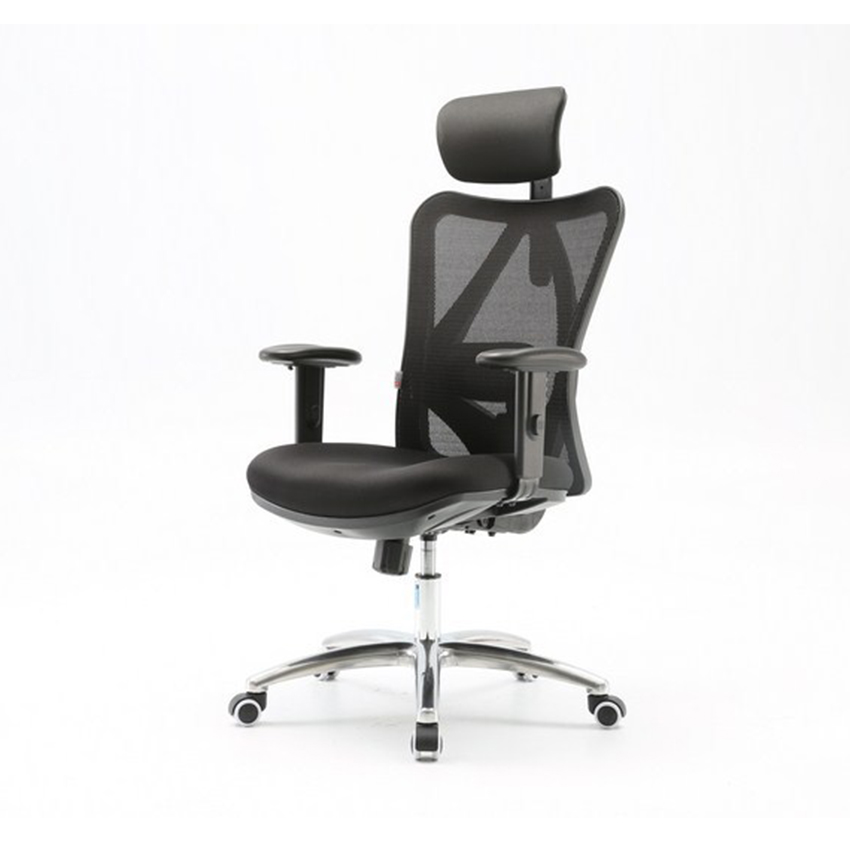 Ghế Công Thái Học Ergohome ERG-M18