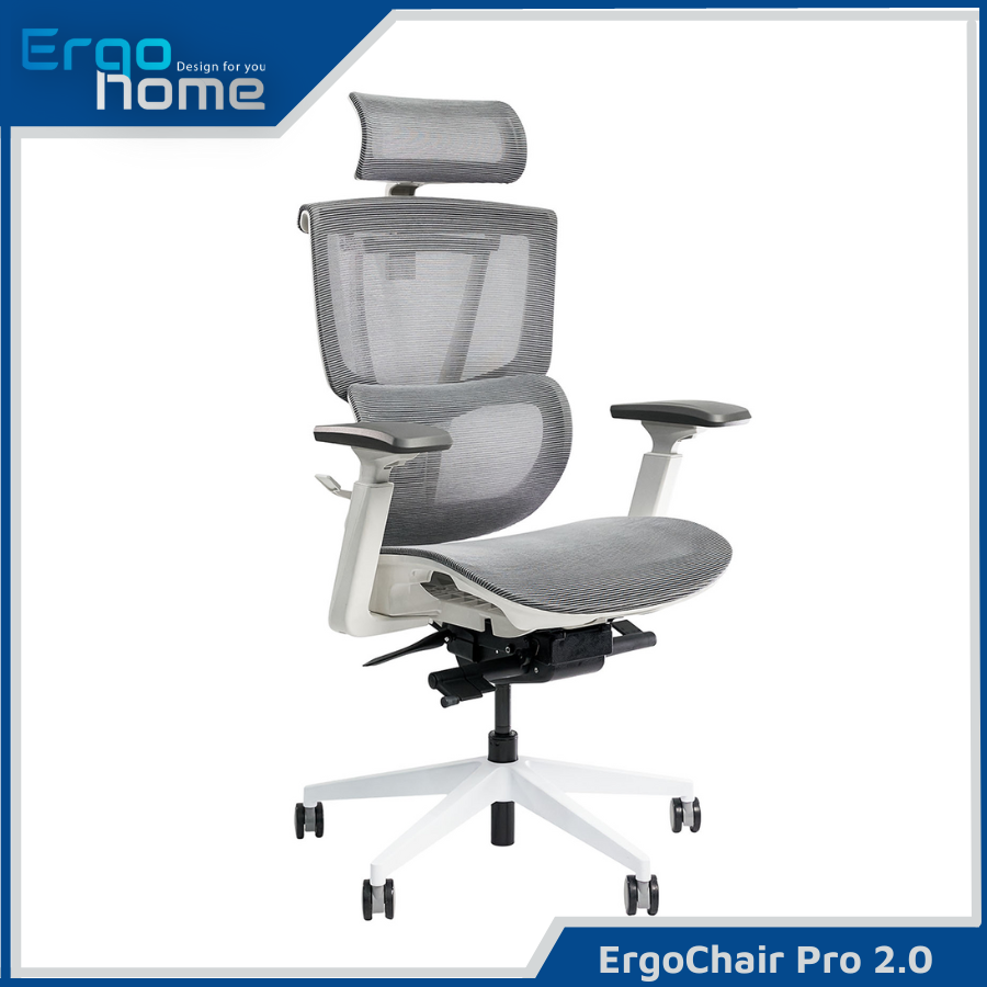 Ghế Công Thái Học Epione ErgoChair Pro 2.0