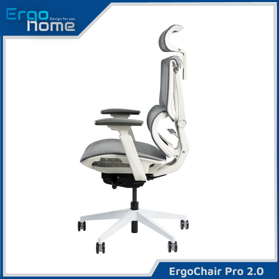 Ghế Công Thái Học Epione ErgoChair Pro 2.0