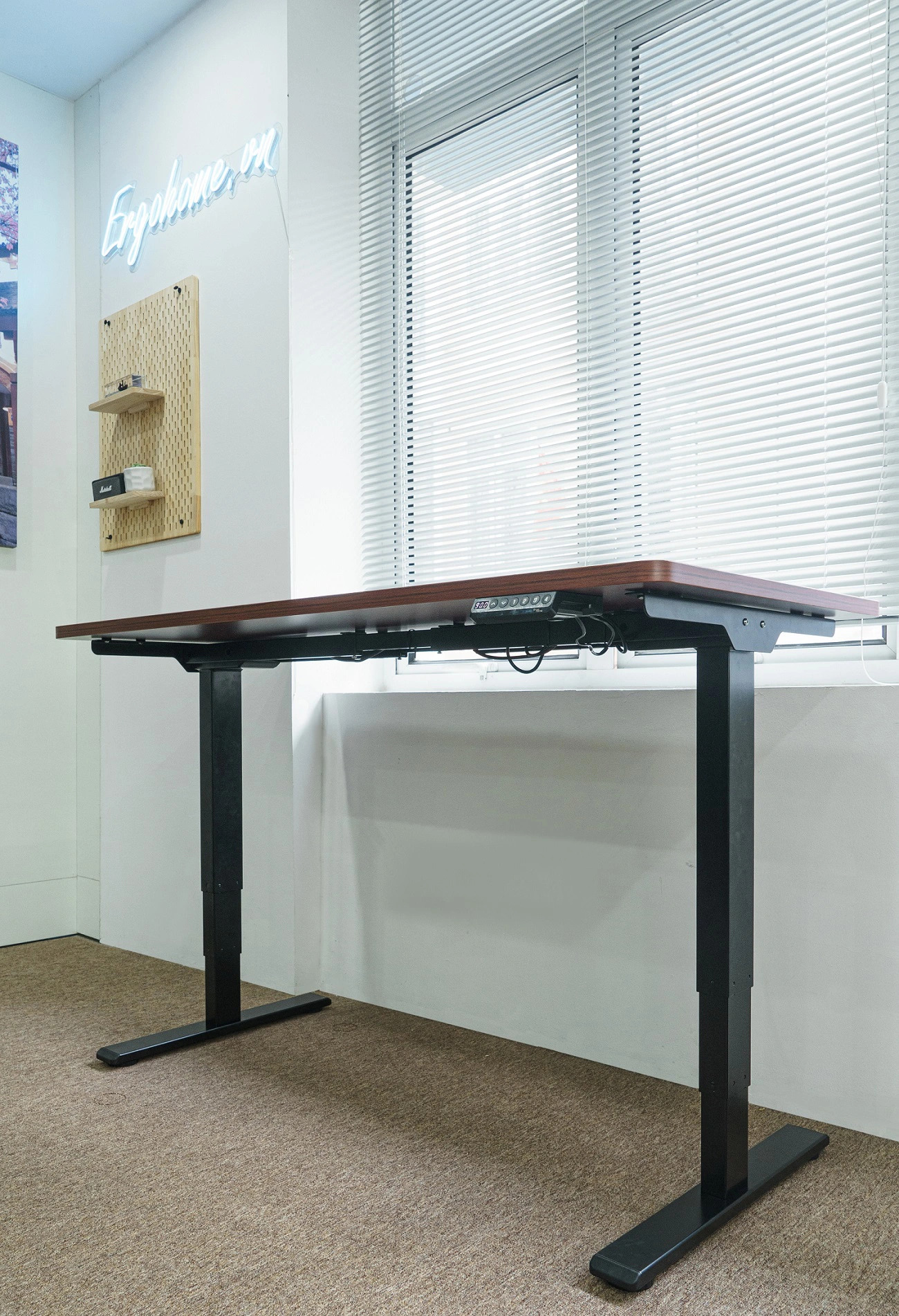 Khám Phá Bàn Nâng Hạ Flexispot Thay Đổi Cách Làm Việc