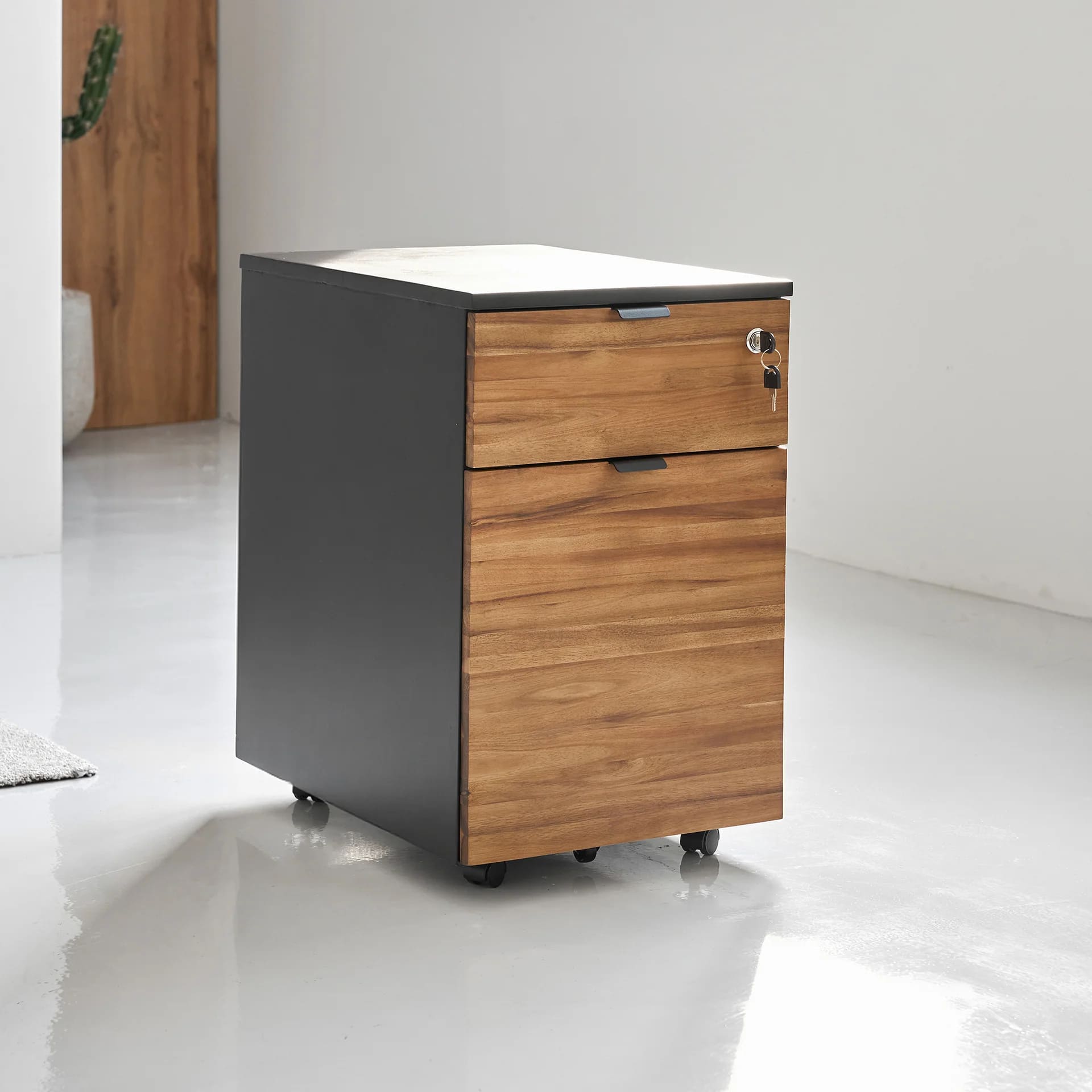 Hộc tủ di động 2 ngăn Alexa