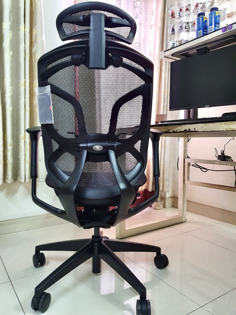 Dvary Butterfly - Feedback