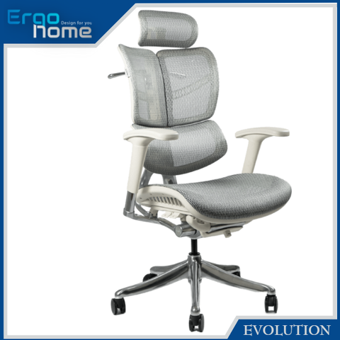 [THANH LÝ HÀNG TRƯNG BÀY CỬA HÀNG] Ghế công thái học Ergonomic Vchair Evolution