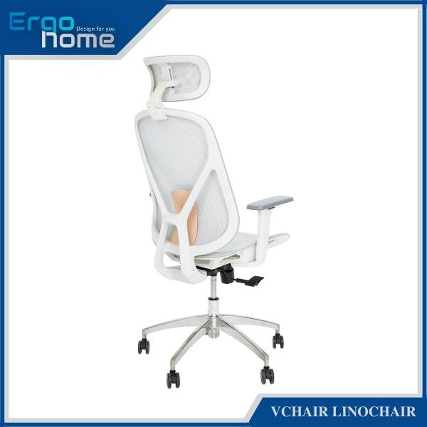 Ghế Công Thái Học Vchair LinoChair