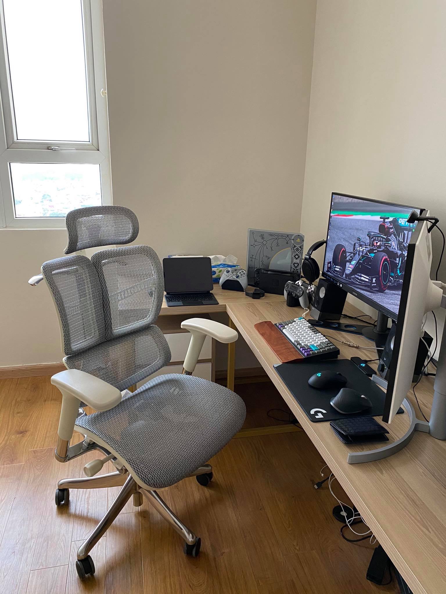 Evolution - Feedback