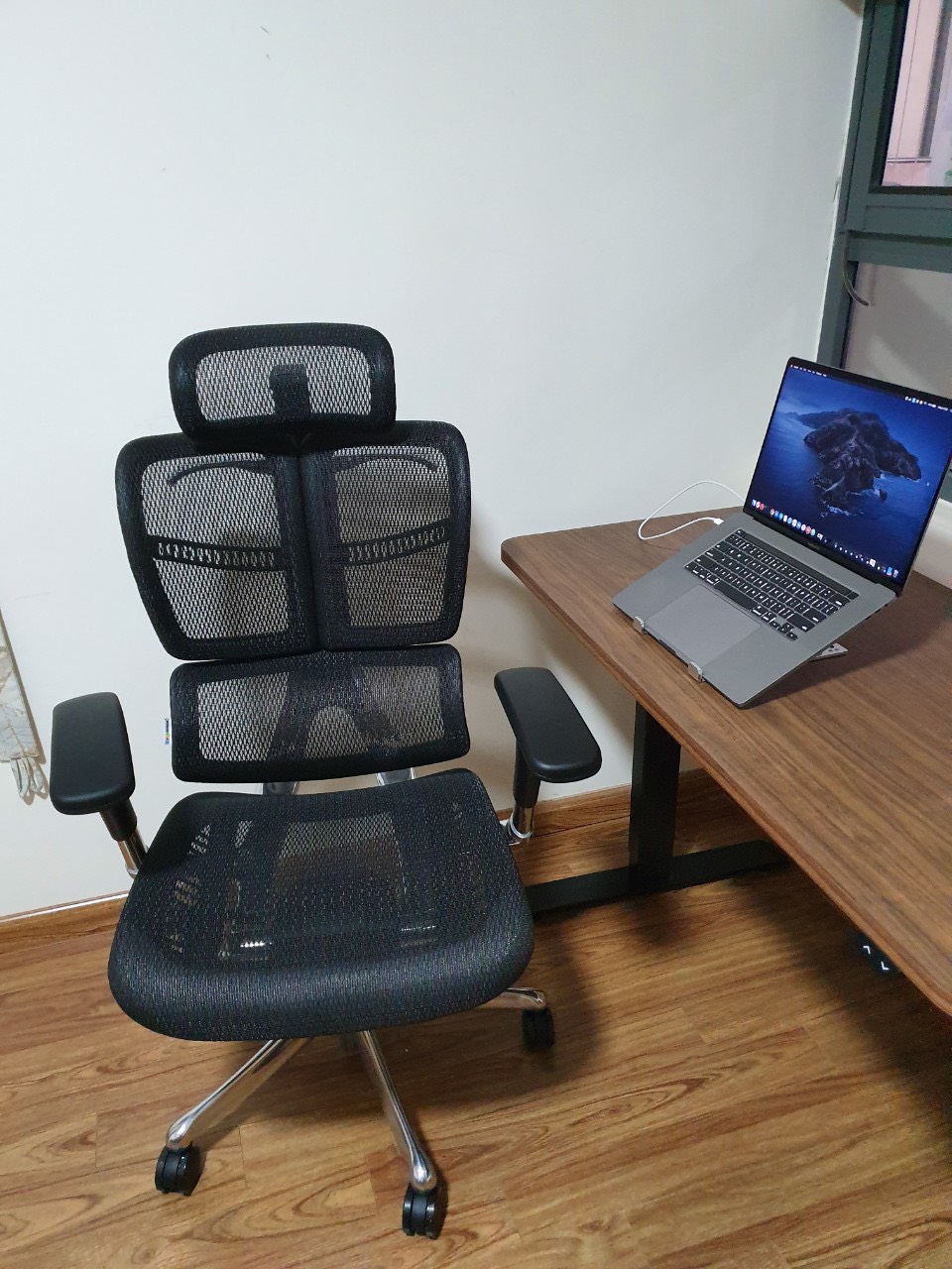 Evolution - Feedback