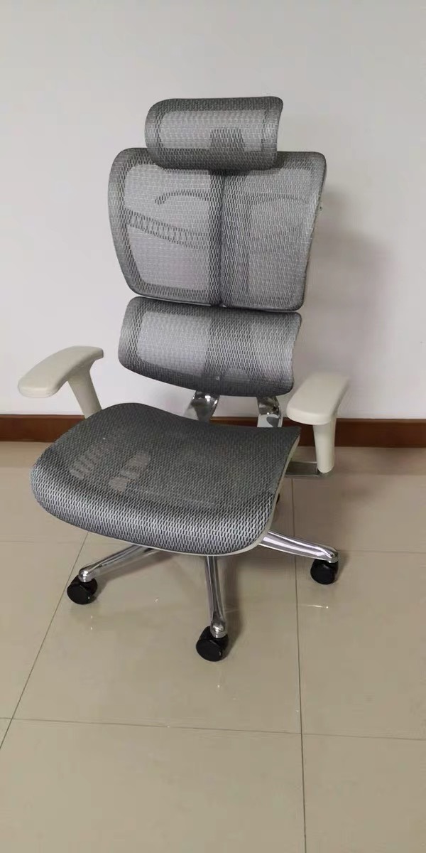 Evolution - Feedback