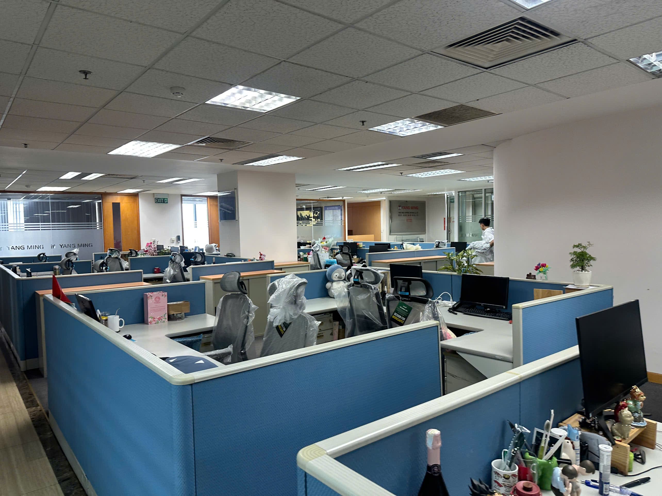 Dự Án Ghế Công Thái Học Upgen Lumix - Công Ty TNHH Yang Ming Shipping Việt Nam