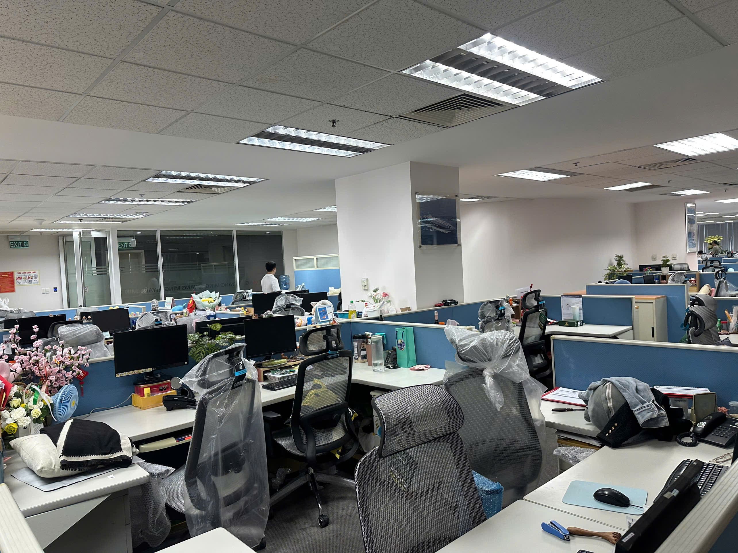 Dự Án Ghế Công Thái Học Upgen Lumix - Công Ty TNHH Yang Ming Shipping Việt Nam