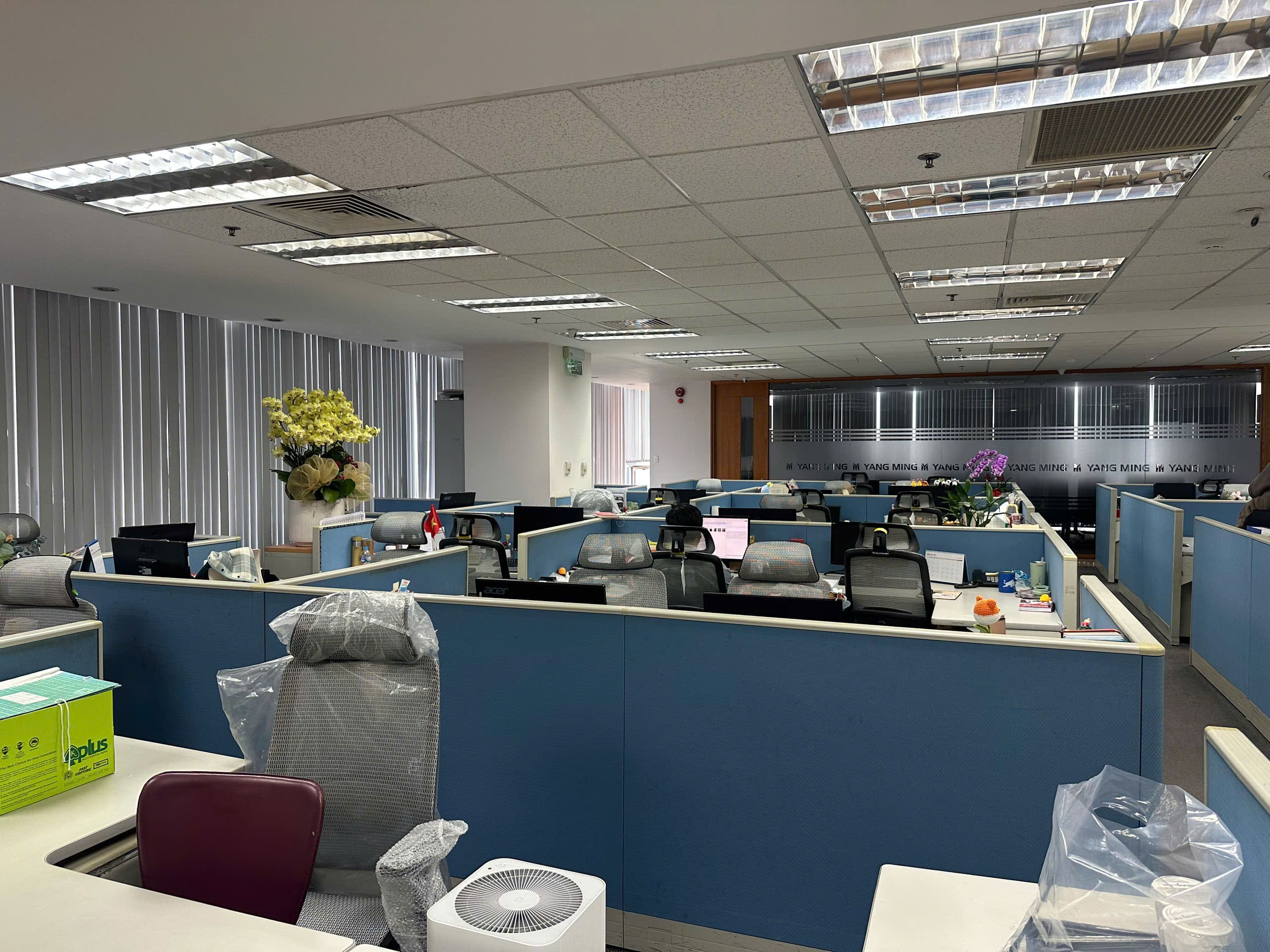 Dự Án Ghế Công Thái Học Upgen Lumix - Công Ty TNHH Yang Ming Shipping Việt Nam