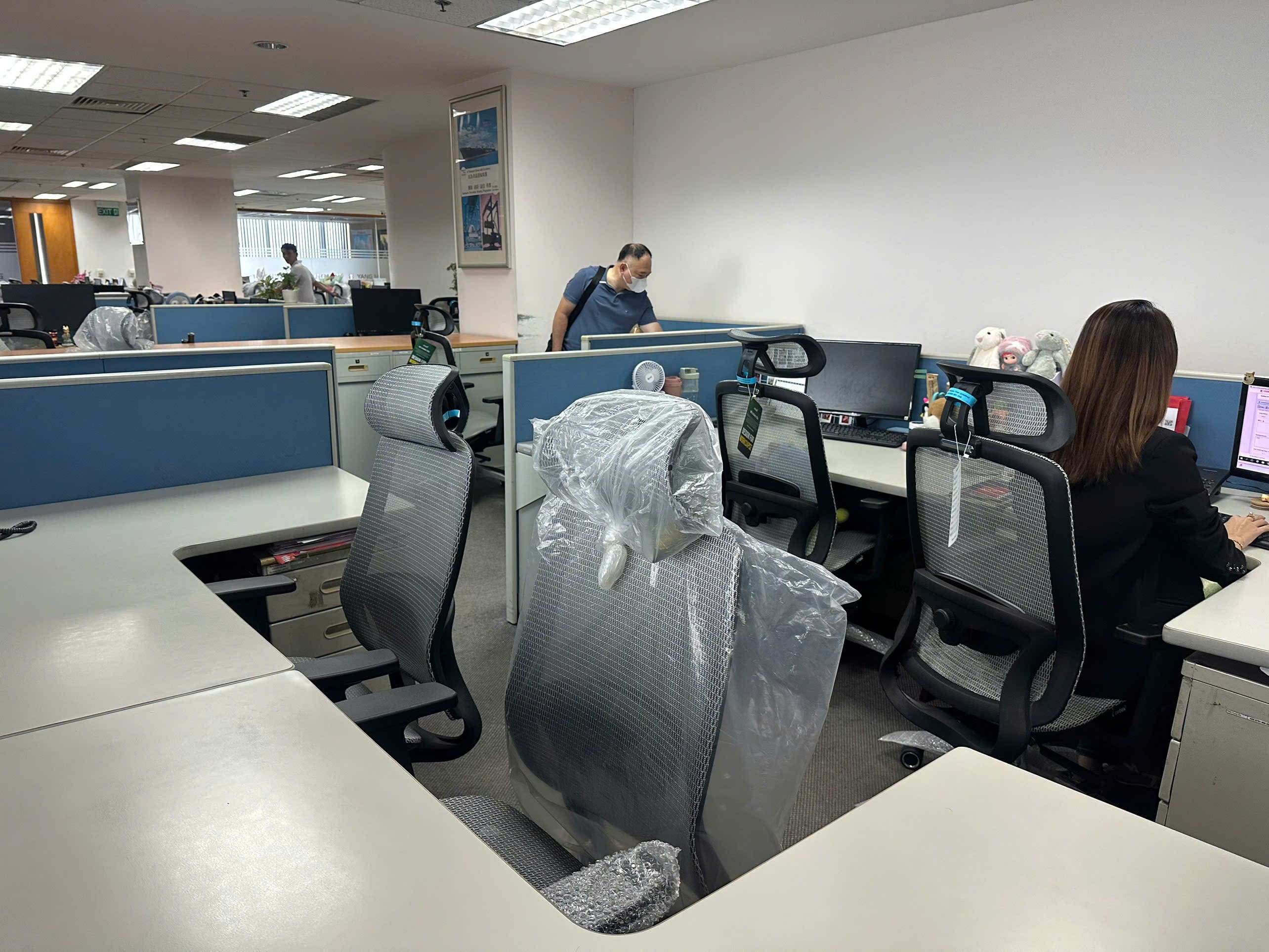 Dự Án Ghế Công Thái Học Upgen Lumix - Công Ty TNHH Yang Ming Shipping Việt Nam