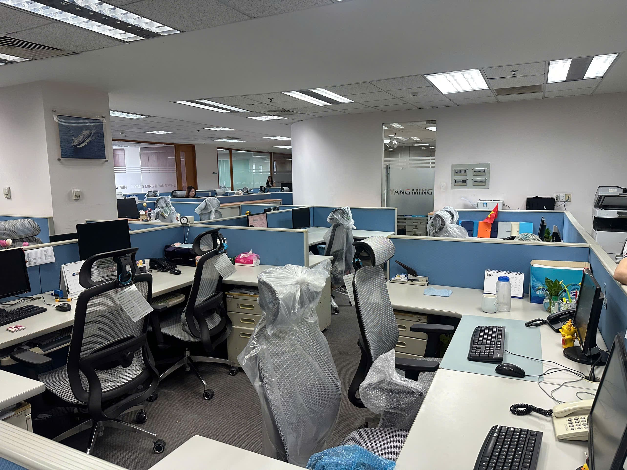 Dự Án Ghế Công Thái Học Upgen Lumix - Công Ty TNHH Yang Ming Shipping Việt Nam