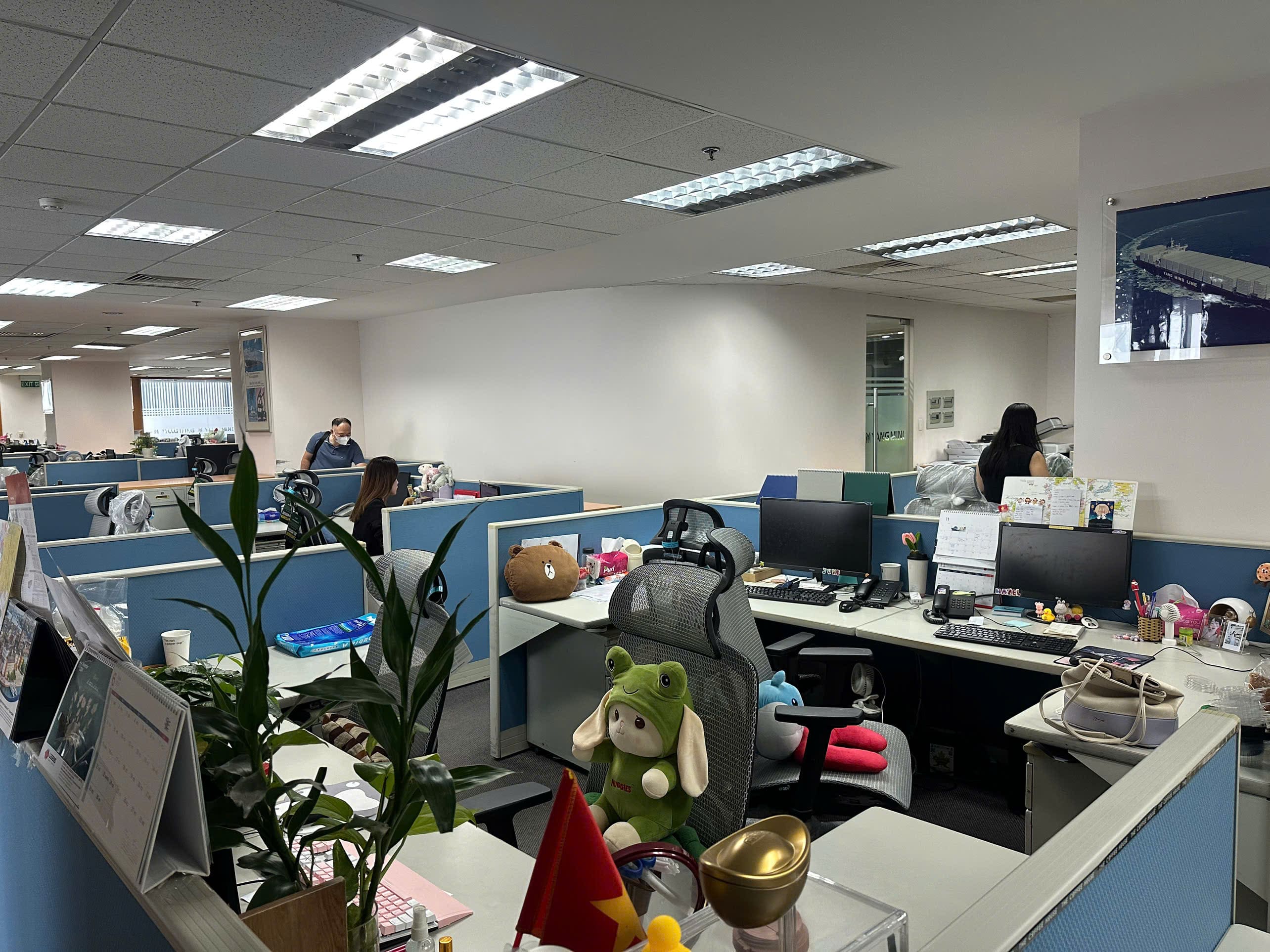 Dự Án Ghế Công Thái Học Upgen Lumix - Công Ty TNHH Yang Ming Shipping Việt Nam