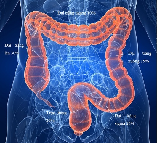 Meta-Analysis-Tác dụng của Ginsenoside Rg3 kết hợp với hóa trị trong điều trị ung thư đường tiêu hóa