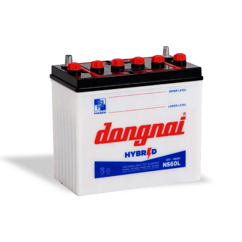 Ắc quy Đồng Nai NS60L (12V-45AH)