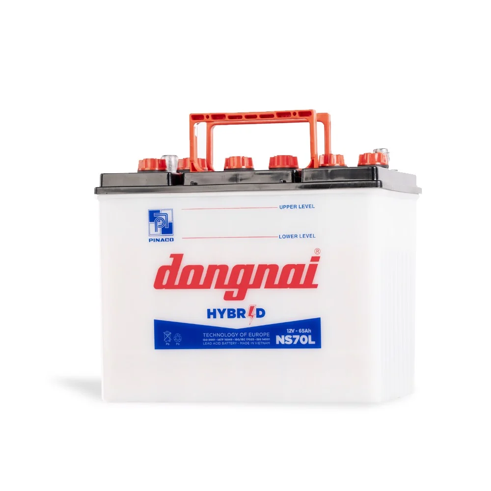Ắc quy Đồng Nai NS70L (12V-65AH)