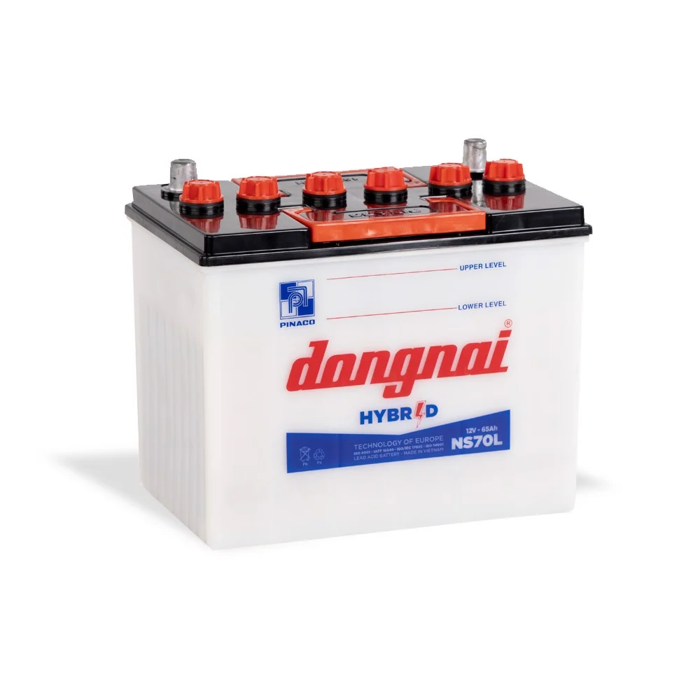 Ắc quy Đồng Nai NS70L (12V-65AH)