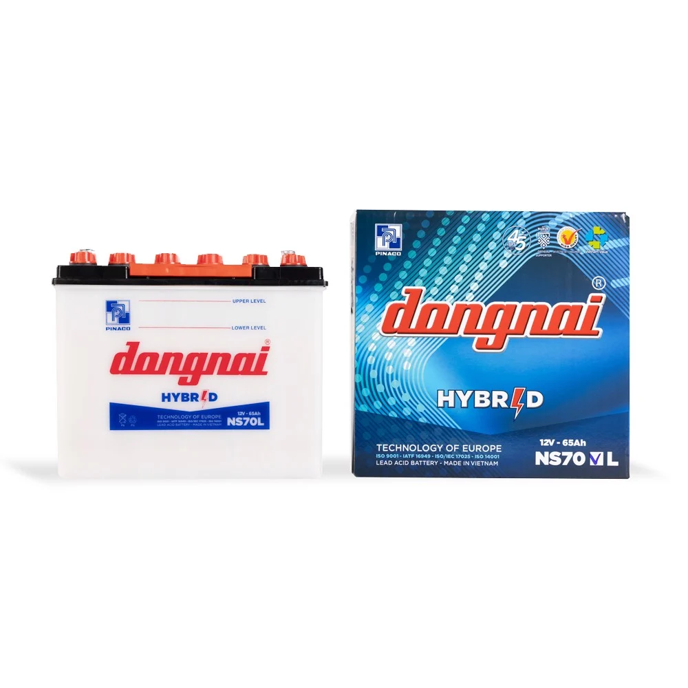 Ắc quy Đồng Nai NS70L (12V-65AH)