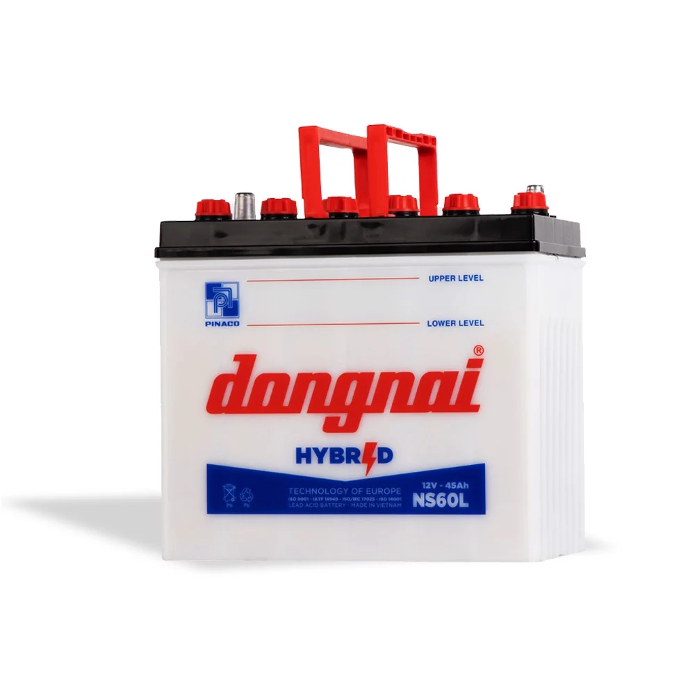 Ắc quy Đồng Nai NS60L (12V-45AH)