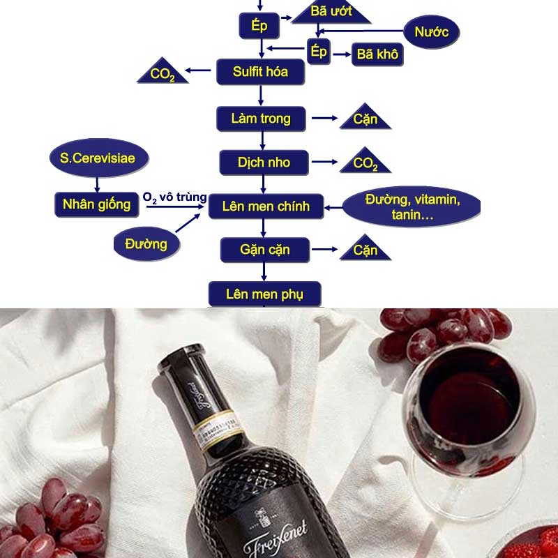 Tìm hiểu về quá trình sản xuất rượu vang Ý và những bí mật đằng sau chúng