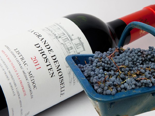 Khám Phá Hương Vị Đậm Đà của La Grande Demoiselle D’hosten