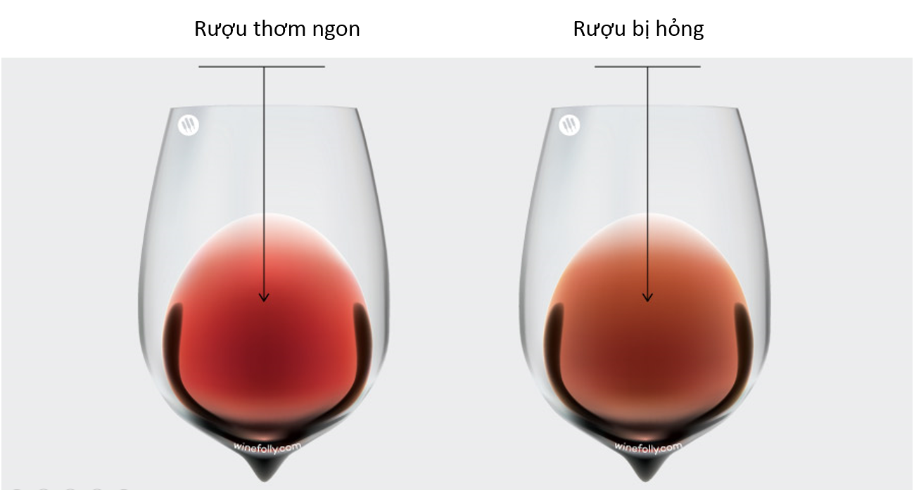 Rượu vang để được bao lâu