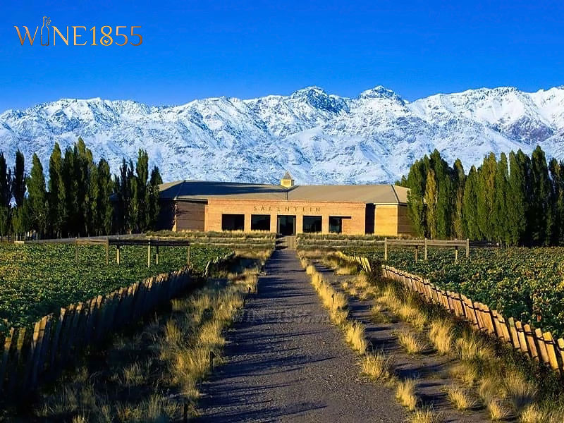 Điền trang và nhà làm rượu Bodega Salentein tại thung lũng Uco Valley dưới chân dãy Andes