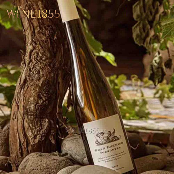 Chai rượu Gran Enemigo Torrontés đặt cạnh gốc cây nho cổ thụ