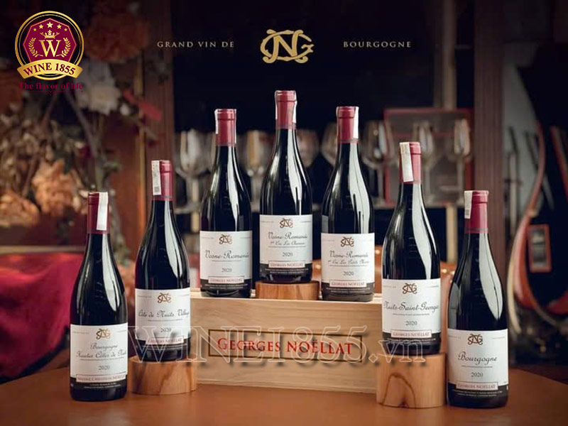Rượu Vang Pháp Georges Noellat Vosne-Romanée - Một ngụm Georges Noëllat, cả trời Vosne-Romanée.