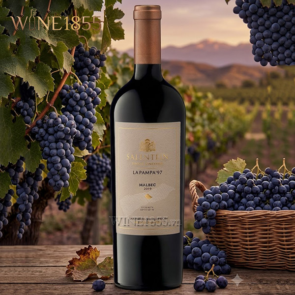 Chai rượu Salentein Finca La Pampa Malbec đặt cạnh vườn nho và giỏ nho Malbec tươi