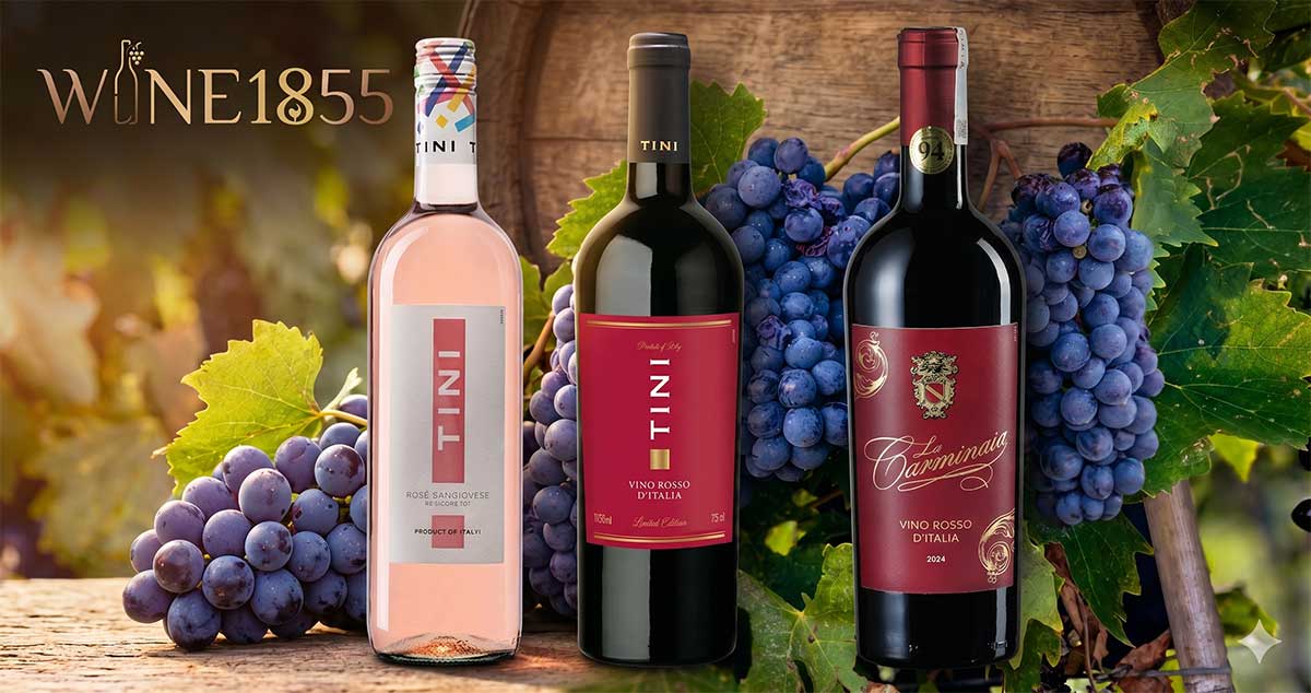 Rượu vang từ giống nho Sangiovese