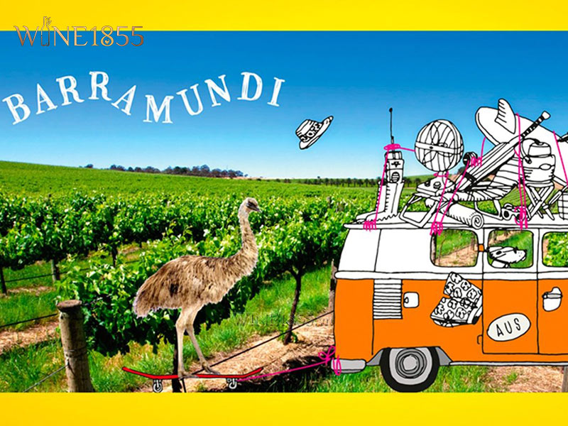 Banner minh họa cánh đồng nho và xe campervan biểu tượng Barramundi
