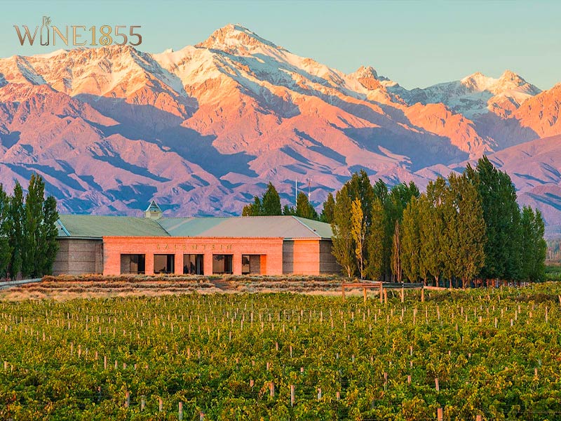 Phong cảnh nhà làm rượu Bodegas Salentein tại thung lũng Uco Valley, Argentina