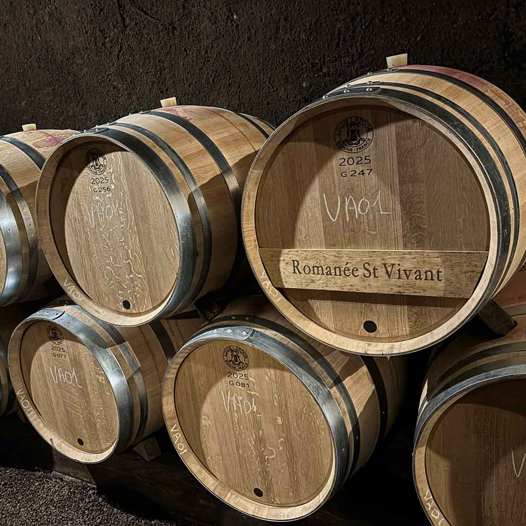 Ủ Gỗ Sồi Của Maison Louis Latour