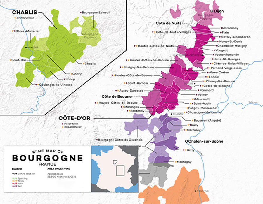 Vùng sản xuất rượu vang nổi tiếng&nbsp;Burgundy (Bourgogne)