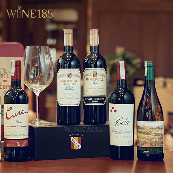 Rượu Vang Tây Ban Nha Finca Vallejo Rueda