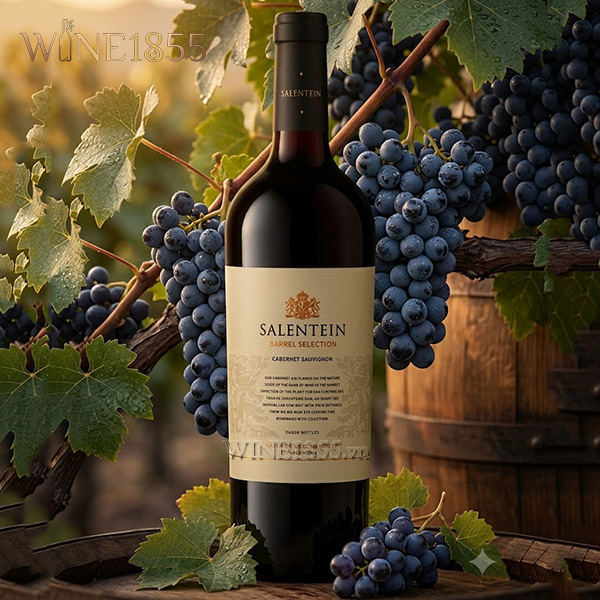 Salentein Barrel Selection Cabernet Sauvignon