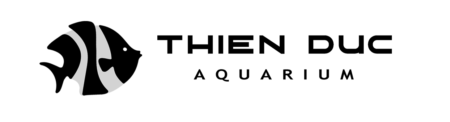 Shop cá cảnh Thiên Đức