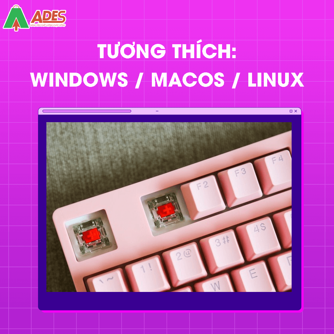 AKKO 3087S - Pink RGB (AKKO sw) 
