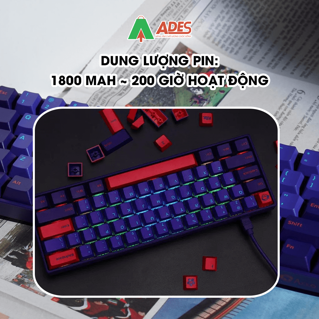 AKKO 3061S NEON RGB