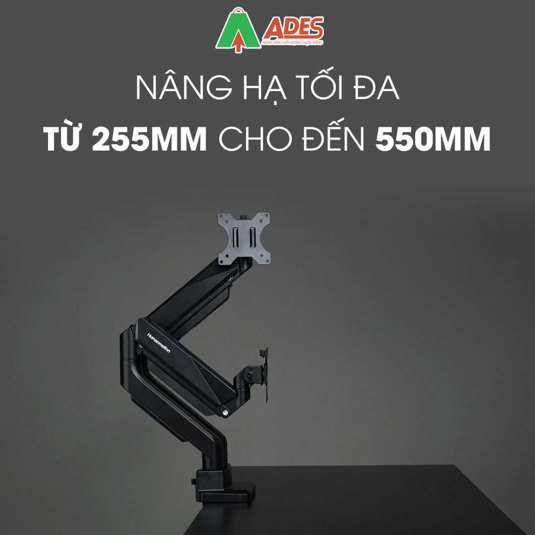 Human Motion T9