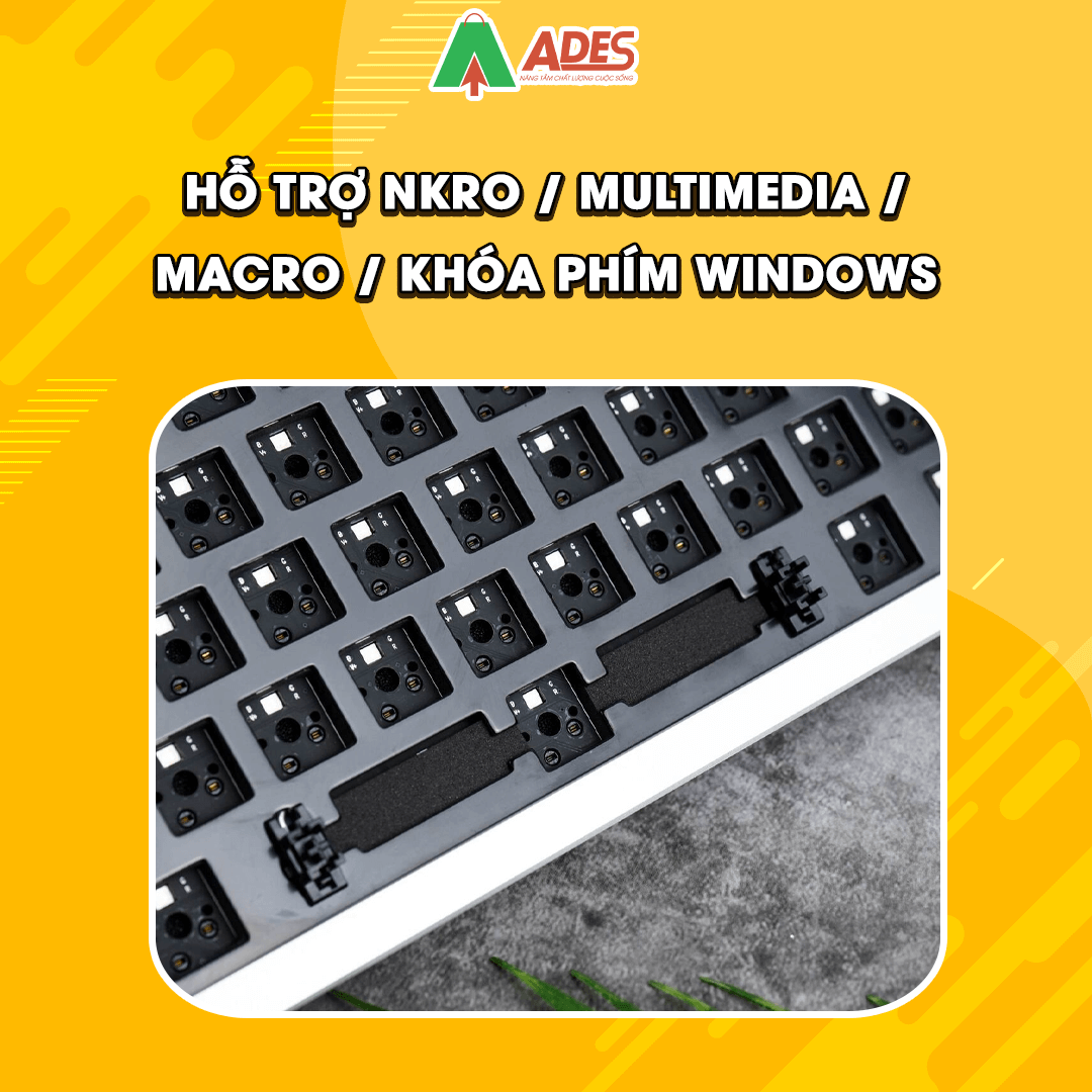 kit ban phim AKKO MOD001 (PSITTACUS)